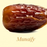 Datte Munaify Lawrence